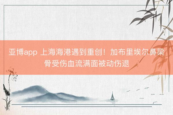 亚博app 上海海港遇到重创！加布里埃尔鼻梁骨受伤血流满面被动伤退