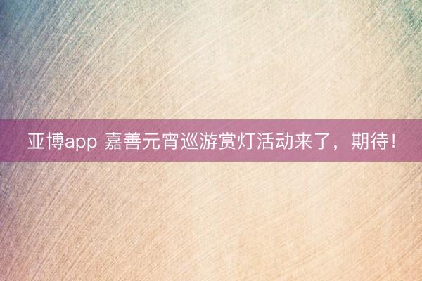 亚博app 嘉善元宵巡游赏灯活动来了,期待!