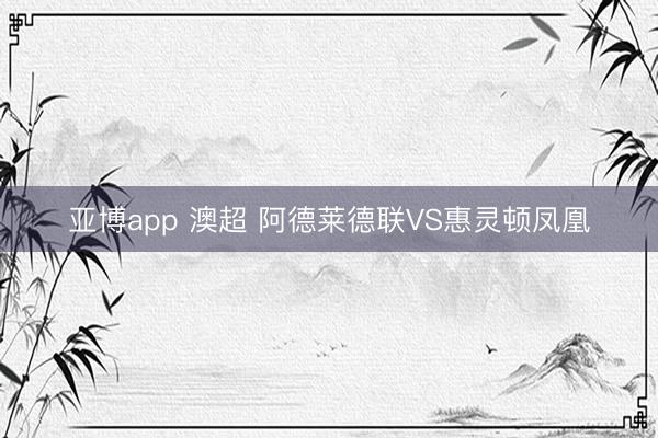 亚博app 澳超 阿德莱德联VS惠灵顿凤凰