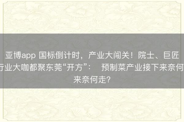亚博app 国标倒计时，产业大闯关！院士、巨匠和行业大咖都聚东莞“开方”：  预制菜产业接下来奈何走？