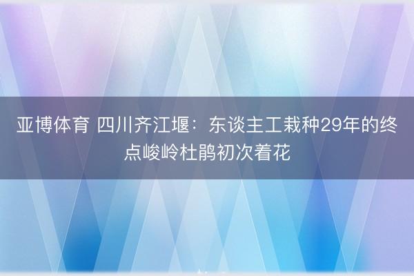 亚博体育 四川齐江堰:东谈主工栽种29年的终点峻岭杜鹃初次着花