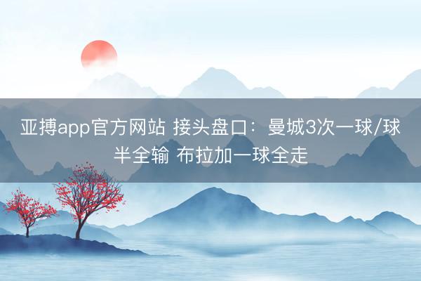 亚搏app官方网站 接头盘口：曼城3次一球/球半全输 布拉加一球全走