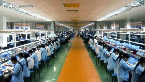 重庆8家电子厂累计招工1.7万人