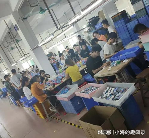 广西人在深圳 来了就是深圳人 喜欢深圳的十个理由