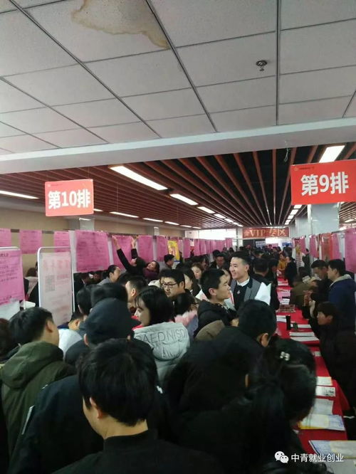 2018年2月24日 初九 赢在中青 春季大型人才招聘会继续