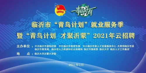 青鸟计划 临沂青年人才2021云招聘开启