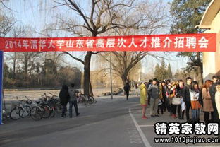 临沂成功招聘网项目专案招聘会人才简章