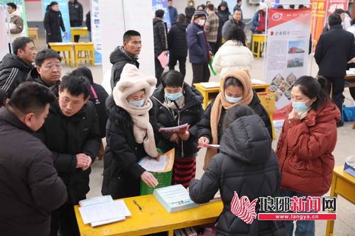 临沂沂南 新春求职 招聘忙