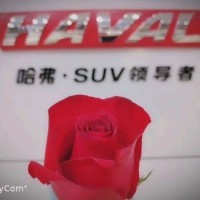 【临沂产品/运营产品经理招聘】临沂莒南县产品经理招聘-店长直聘