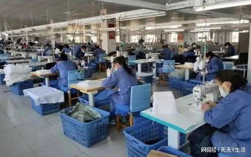 为啥现在工厂开资8000,都招不到人 彻底扒开背后的伪善面具