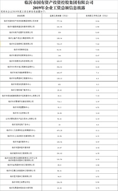 临沂市国有资产投资控股集团工资总额情况披露|临沂国企到手工资多少?
