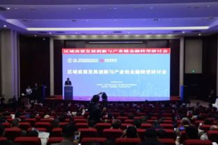 中国 临沂第五届资本交易大会暨第七届中国新型金融机构论坛专题活动召开 临沂市金融工作办公室