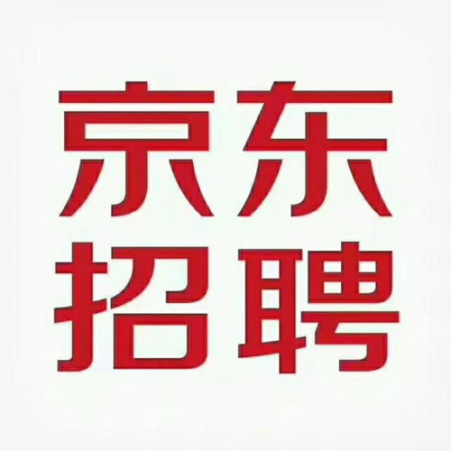 每日更新置顶信息