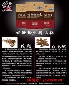 香港迪赛睿集团与修正合作小蓝帽产品 蛇鞭粉胶囊招代理