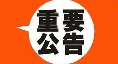 公告 关于市妇儿中心美术教育项目有关情况的公告