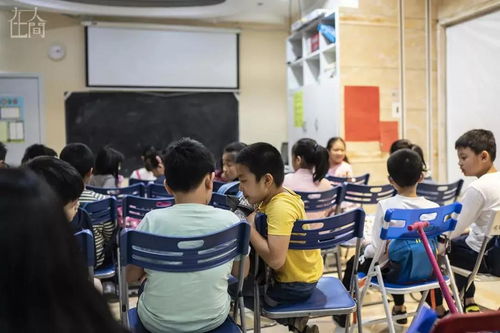 深港跨境学童彷徨？疫情阻断求学路，这里有大招解难题