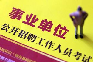 公务员、事业单位与三支一扶面试的抉择与应对策略