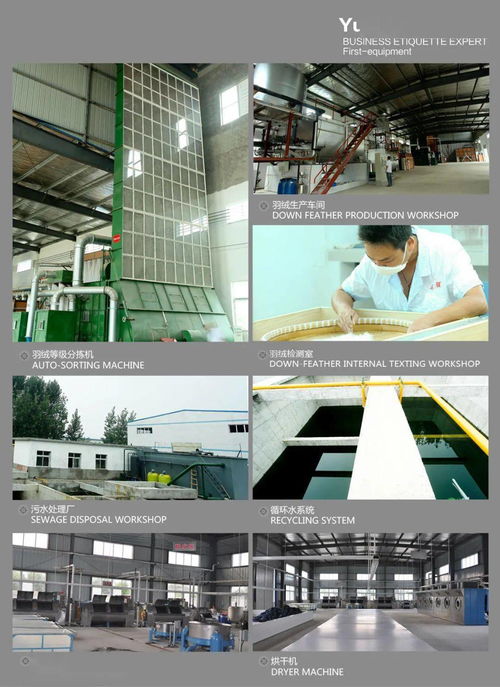 天门大型服装厂招聘200名车工及厂房仓库租售信息